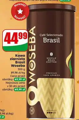 Dino Kawa ziarnista Brasil Woseba oferta