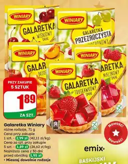 Dino Galaretka Winiary różne rodzaje oferta