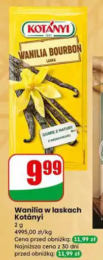Dino Wanilia w laskach Kotányi oferta