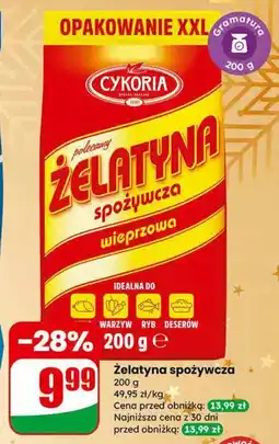 Dino Żelatyna spożywcza Cykoria oferta