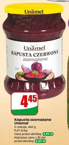 Dino Kapusta zasmażana Unamel 2 rodzaje oferta