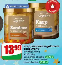 Dino Karp, sandacz w galarecie Targ Rybny oferta
