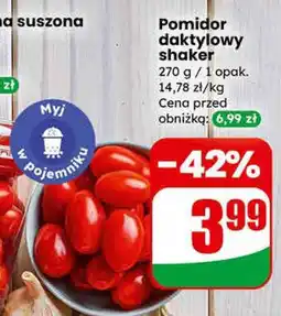 Dino Pomidor elektylowy shaker Dino oferta