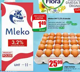 Dino Jaja świeże rozmiar M Dino oferta