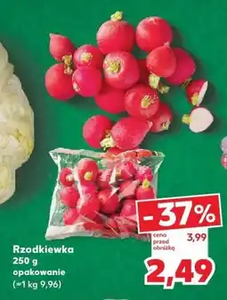 Kaufland Warzywo Rzodkiewka 250 g opakowanie Kaufland oferta
