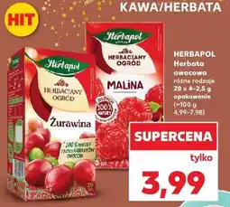 Kaufland Herbata owocowa różne rodzaje HERBAPOL oferta