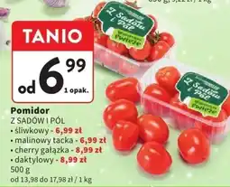 Intermarche Pomidor Z SADÓW I PÓL daktylowy oferta
