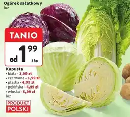 Intermarche Kapusta włoska Intermarche oferta