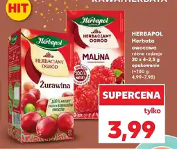 Kaufland Herbata owocowa Herbapol oferta