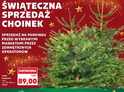 Kaufland Choinka oferta