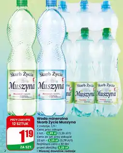Dino Woda mineralna 1,5 l Skarb Życia Muszyna oferta