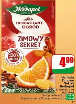 Dino Herbata Zimowy Sekret Herbapol oferta