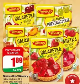 Dino Galaretka Winiary oferta
