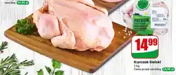 Dino Kurczak Sielski oferta
