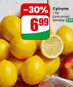 Dino Cytryna oferta