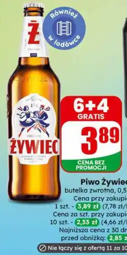 Dino Piwo Żywiec oferta