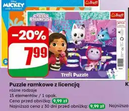Dino Puzzle ramkowe z licencją oferta