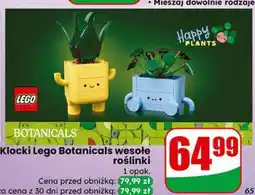 Dino Klocki Lego Botanicals wesołe roślinki oferta