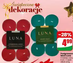 Dino Podgrzewacze Maxi Luna oferta