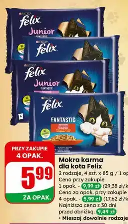 Dino Mokra karma dla kota Felix oferta