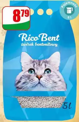 Dino Żwirek dla kota bentonitowy Rico Bent oferta