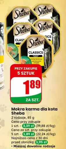 Dino Mokra karma dla kota Sheba oferta