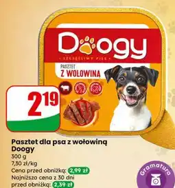 Dino Doogy Pasztet dla psa z wołowiną oferta