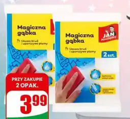 Dino Magiczna Gąbka Jan Niezbędny oferta