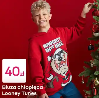Bluza chłopięca Looney Tunes