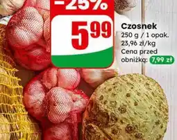 Dino Czosnek oferta