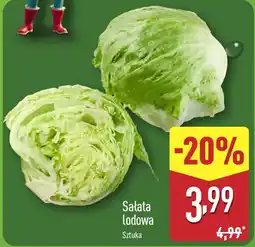 ALDI Sałata lodowa oferta