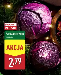 ALDI Kapusta czerwona oferta