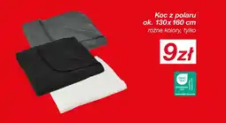 KiK Koc z polaru oferta