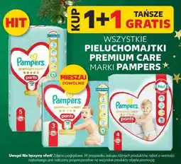 Kaufland Wszystkie pieluchomajtki premium cara marki Pampers oferta