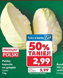 Kaufland Polska kapusta na gołąbki oferta