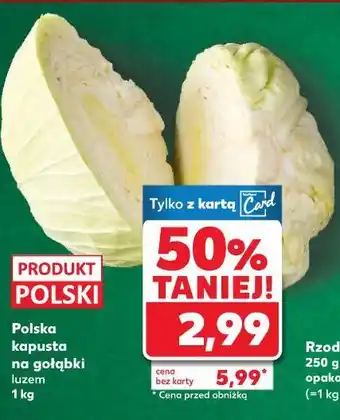Kaufland Polska kapusta na gołąbki oferta