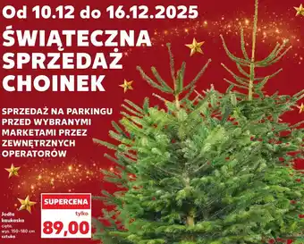 Kaufland Jodła kaukaska oferta