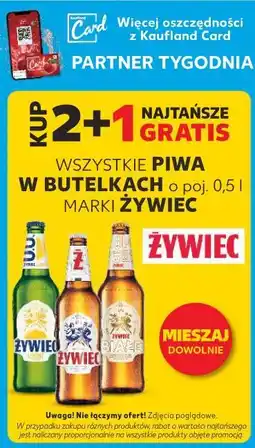 Kaufland Wszystkie piwa w butelkach o pój. 0,5L marki Żywiec oferta