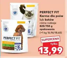 Kaufland karma dla psów lub kotów oferta