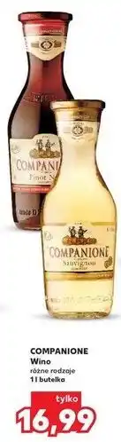 Kaufland Wino Companione Sauvignon oferta