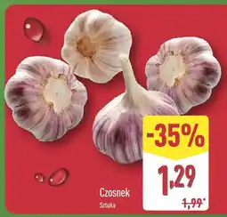 ALDI Czosnek sztuka Aldi oferta