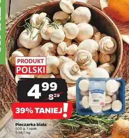 Netto Pieczarka biała Netto oferta