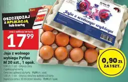 Twój Market Jaja z wolnego wybiegu Pytlas M 20 szt., 1 opak oferta