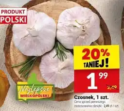Twój Market Czosnek, 1 szt. Twój Market oferta