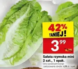 Twój Market Sałata rzymska mini 2 szt., 1 opak. Twój Market oferta