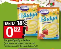 Hitpol Budyń waniliowy 40g-45g - Gellwe (wybrane rodzaje) oferta