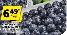Groszek Borówka amerykańska Groszek oferta