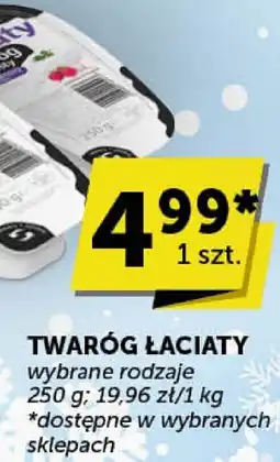 Euro Sklep Twaróg Łaciaty wybrane rodzaje Łaciate oferta