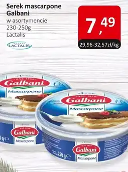 Market Point Serek mascarpone Galbani w asortymencie Lactalis oferta