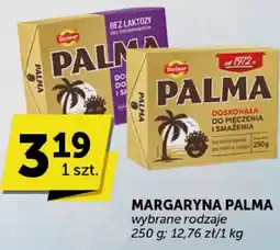 Groszek Margaryna Palma oferta